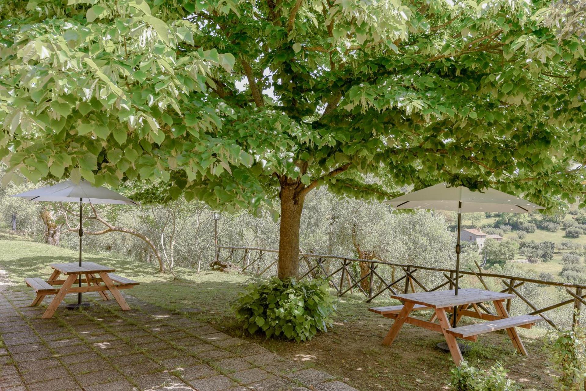 Agriturismo Il Mulino Delle Canutole Magione Kültér fotó