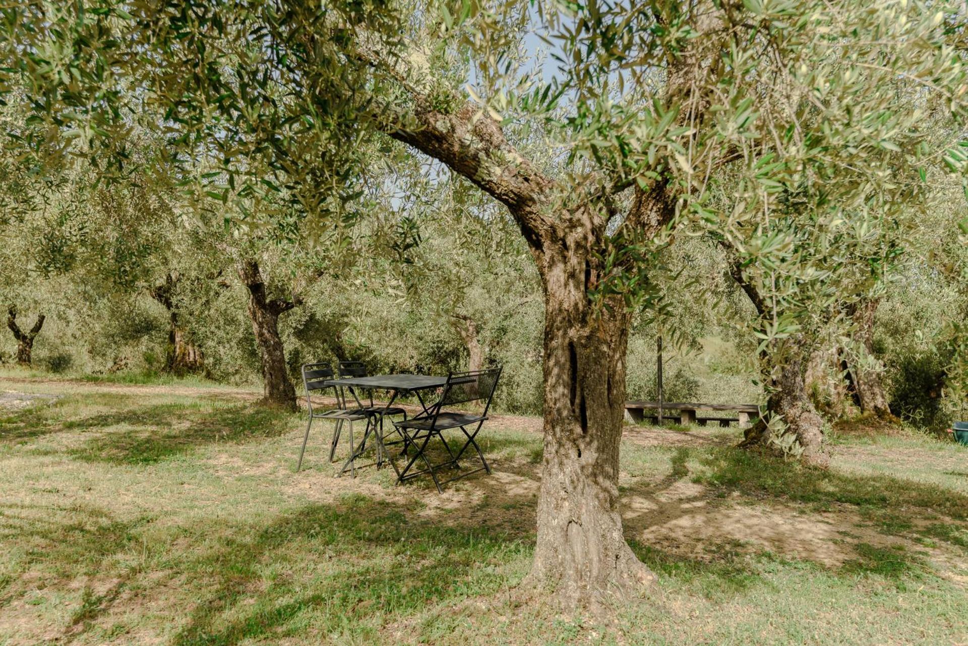 Agriturismo Il Mulino Delle Canutole Magione Kültér fotó